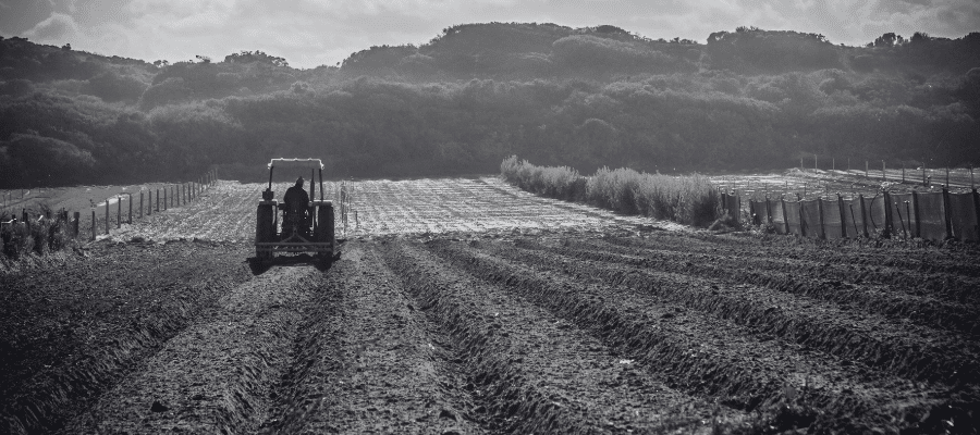 Champ agriculture